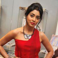 Shriya Saran at Wings of Fantasy Launch - Pictures | Picture 109854